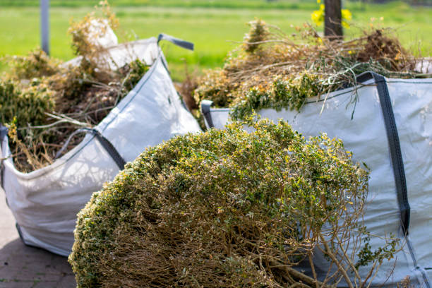 Best Same-Day Junk Removal  in Bainbridge, PA